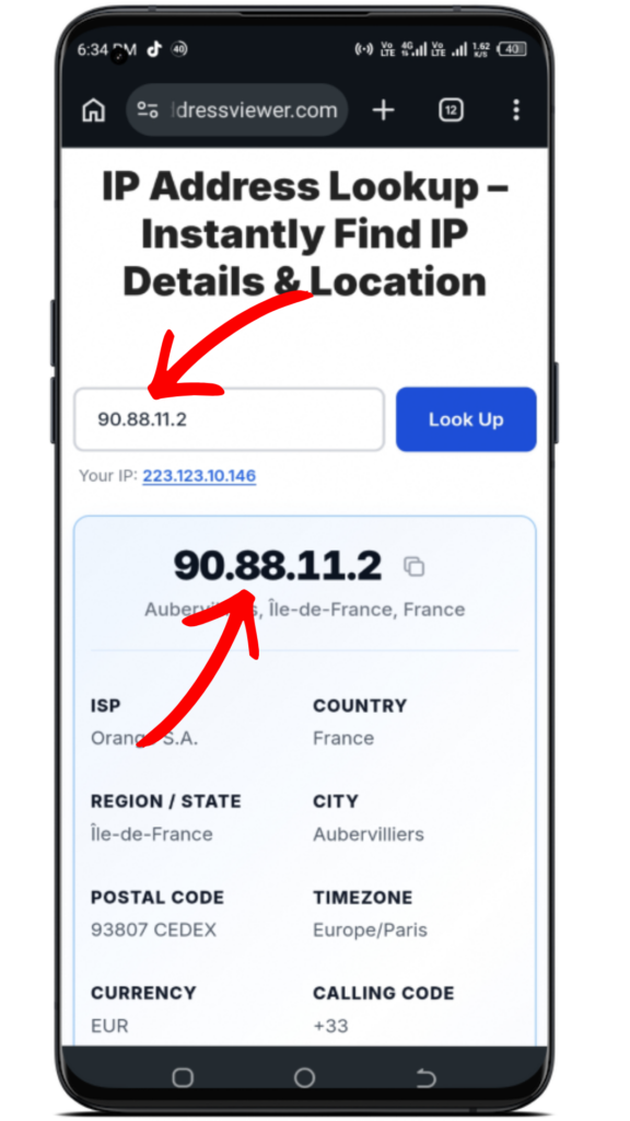 IP Address Lookup